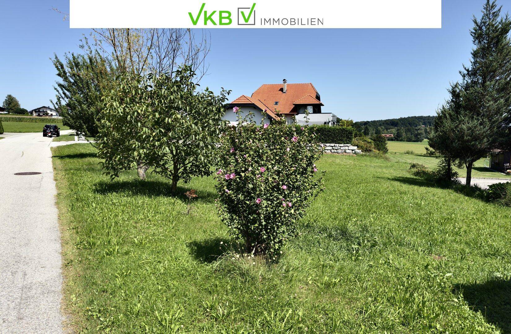 Grünfläche neben einer Zufahrtsstraße mit blühenden Sträuchern und Häusern im Hintergrund bei Sonnenschein.