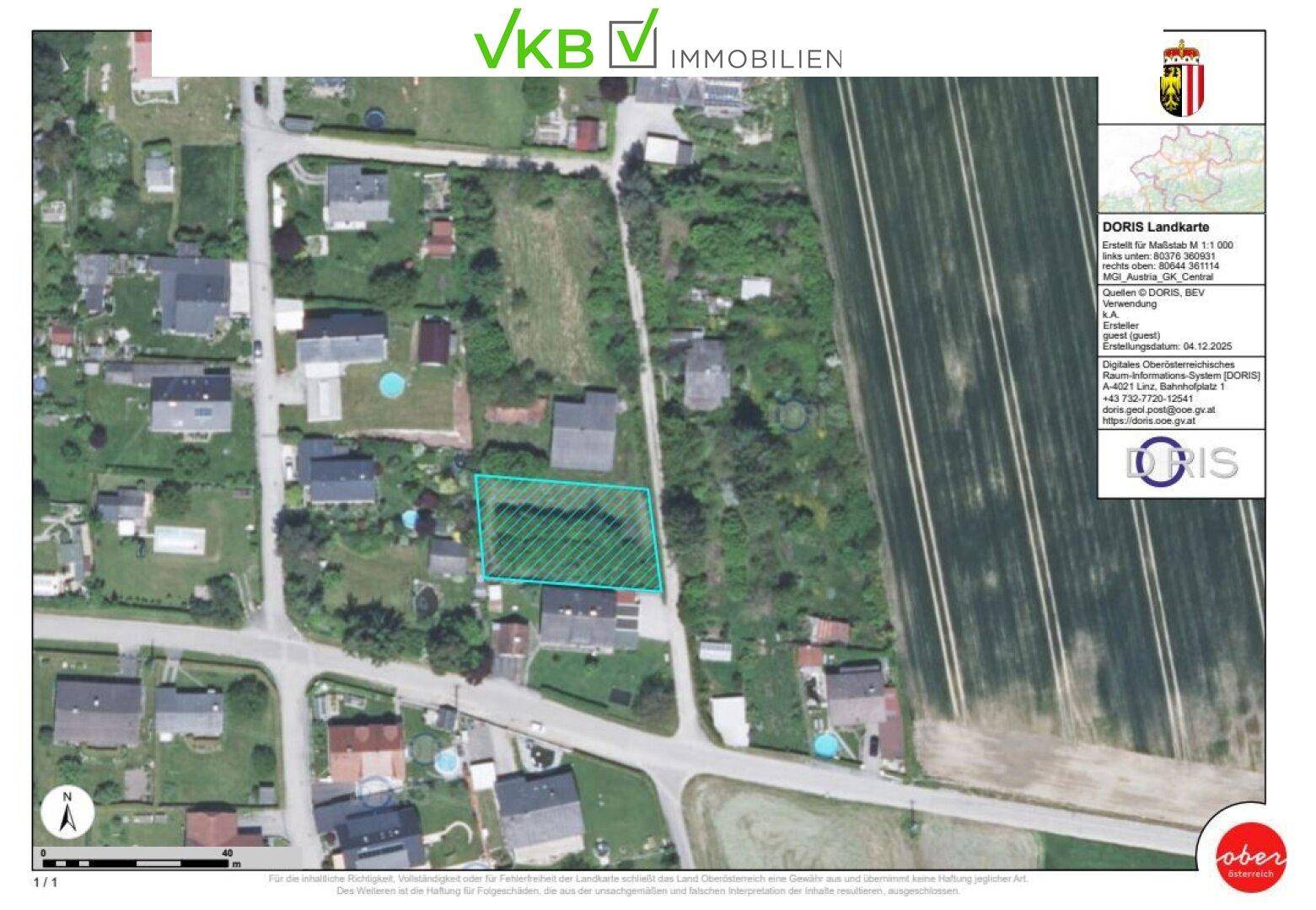 Slide 6
