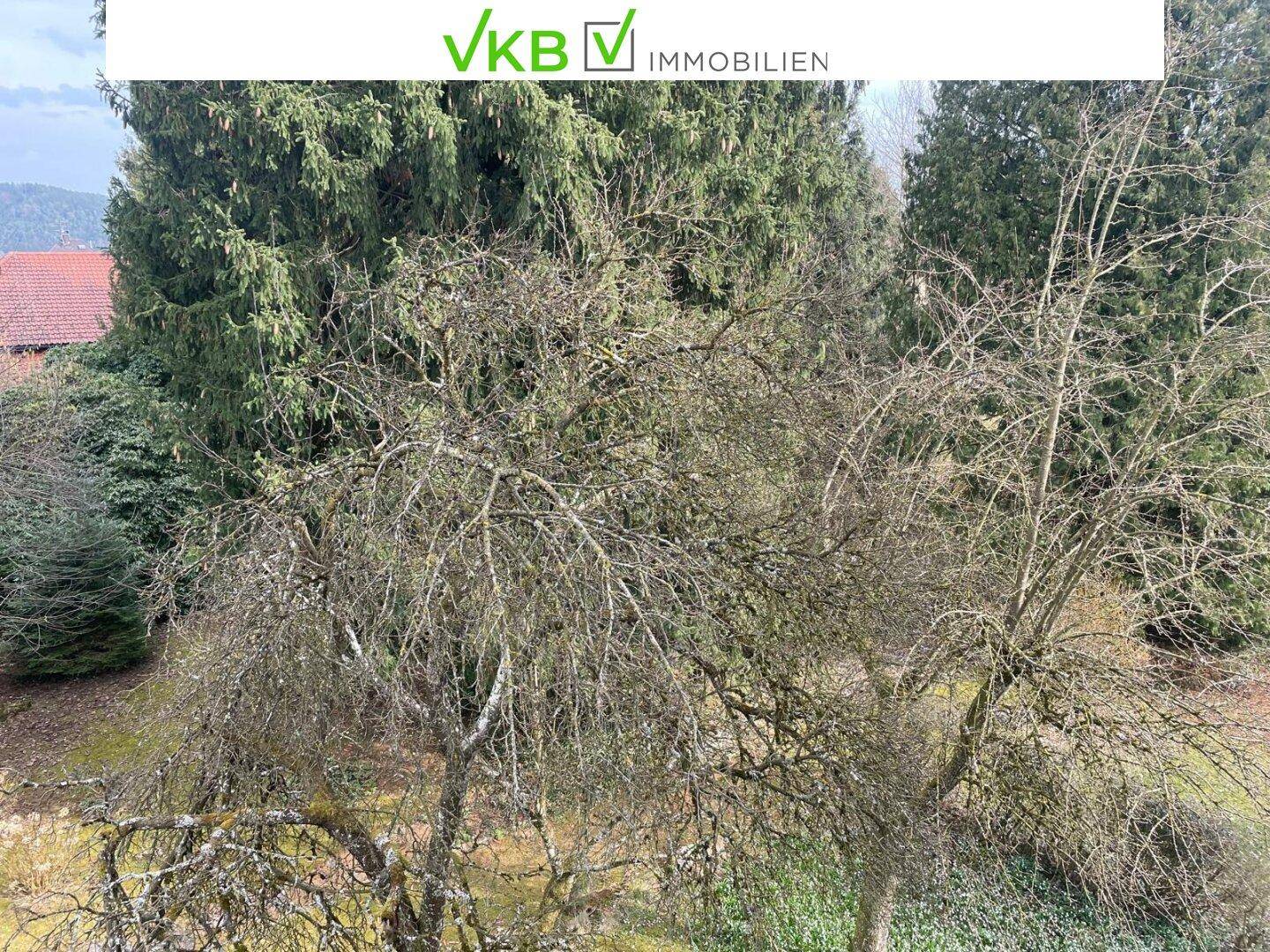 Detailansicht von kahlen Bäumen und Sträuchern im weitläufigen Gartenbereich.