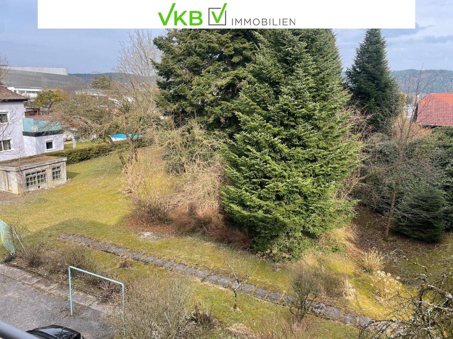Blick auf den Gartenbereich mit großen Nadelbäumen und weitläufiger Rasenfläche.