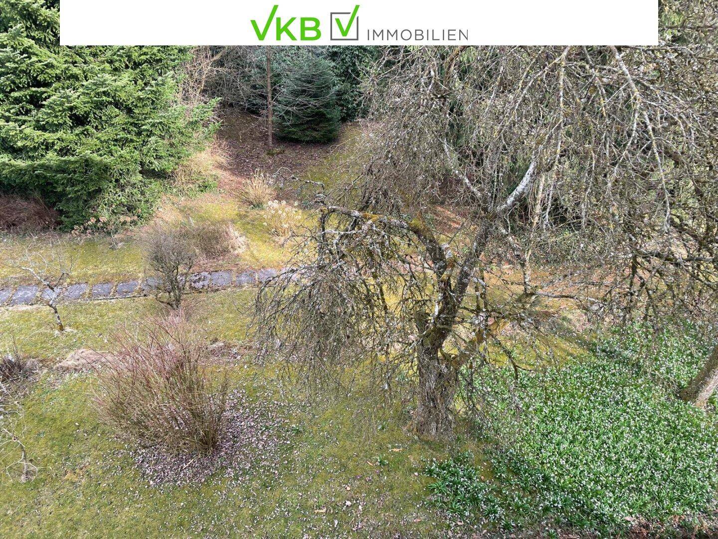 Gartenansicht mit verschiedenen Bäumen, Sträuchern und einer natürlichen Rasenfläche.