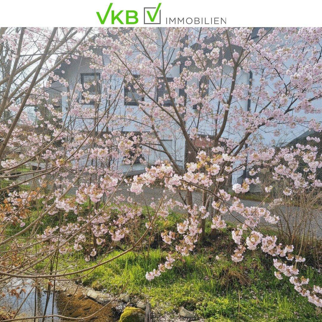 Weißes Haus hinter blühenden Bäumen und einem kleinen Bach im Vordergrund.