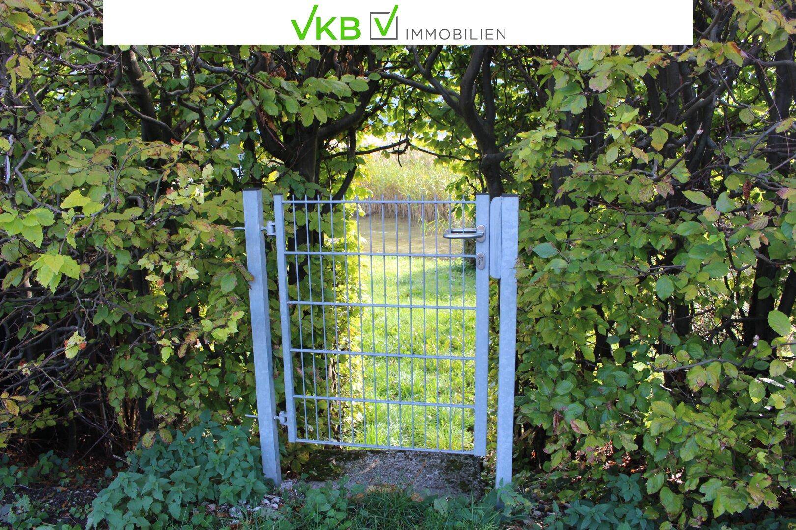 Metallgartentor, umgeben von dichtem Grün, das den Zugang zu einem weiteren Gartenbereich ermöglicht.