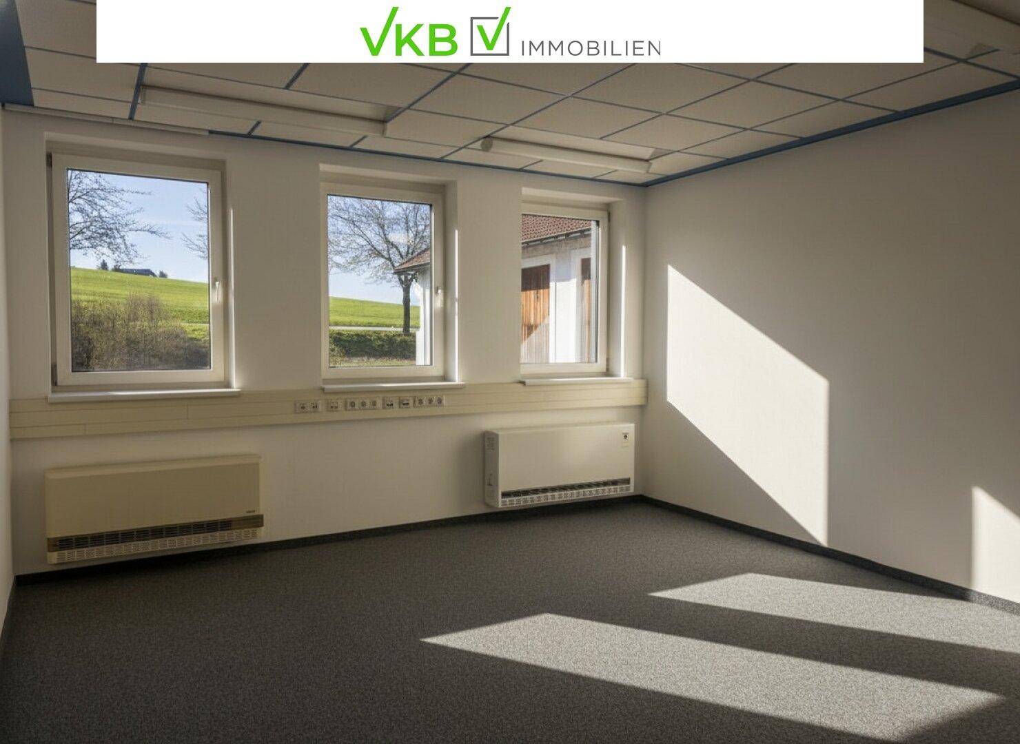 Heller Büroraum mit Teppichboden und Blick ins Grüne durch drei große Fenster.