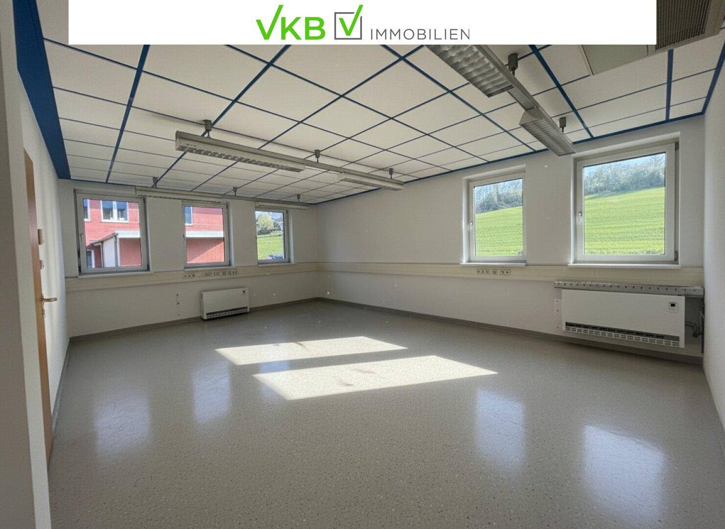 Großer Büroraum mit mehreren Fenstern, die einen Blick ins Grüne bieten, und viel Tageslicht.