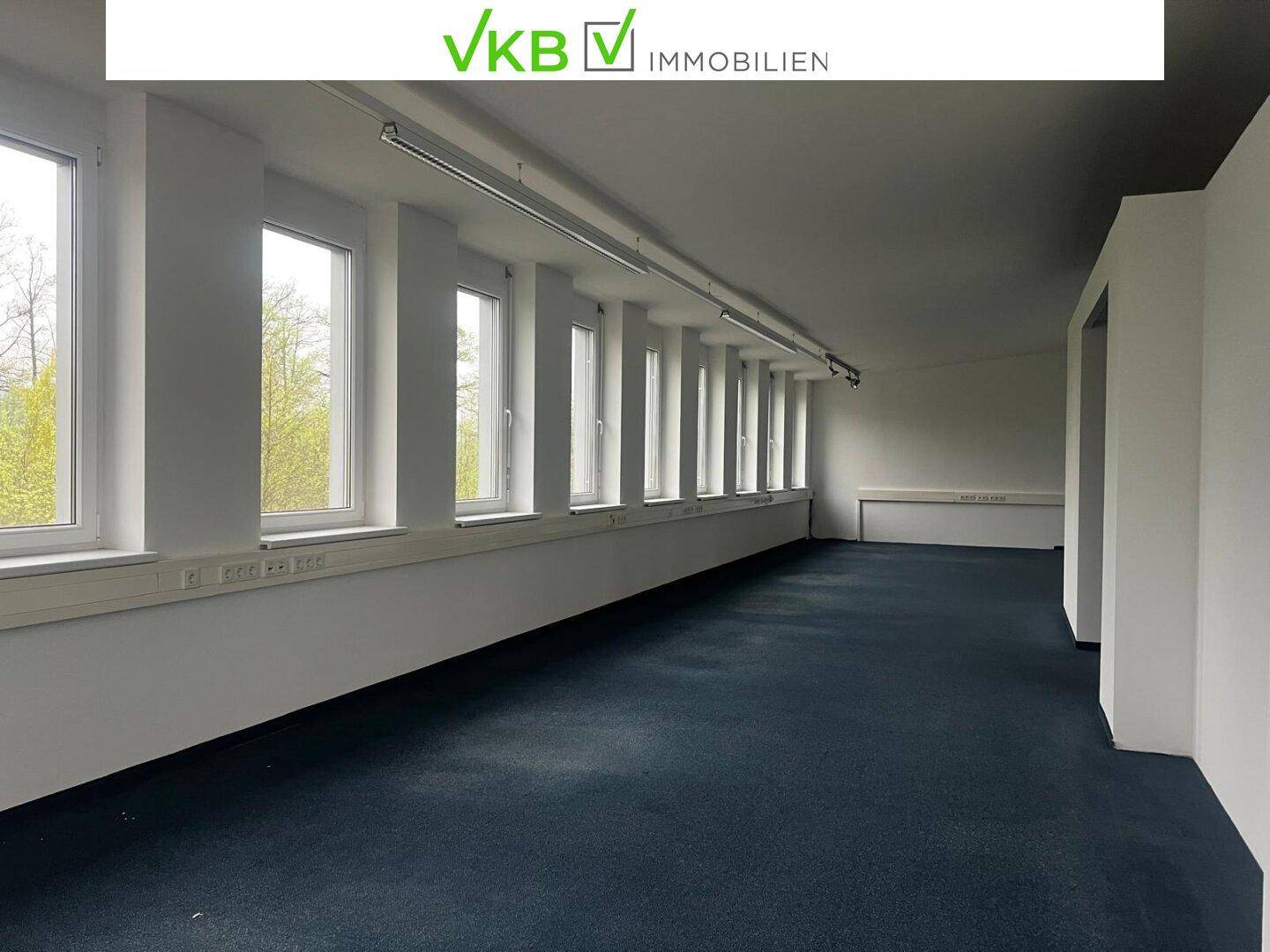 Langer Büroraum mit einer Reihe von Fenstern, die viel Tageslicht hereinlassen, und dunklem Teppichboden.