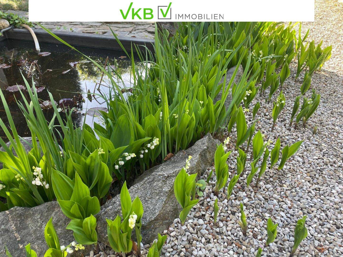 Nahaufnahme von Maiglöckchen und anderen Pflanzen in einem Kiesbeet im Garten.