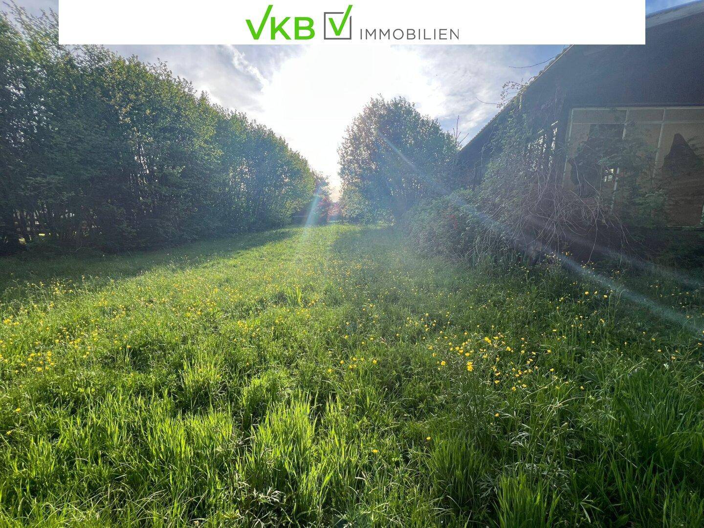 Sonnige Wiese neben einem Gebäude mit Bäumen entlang der Grundstücksgrenze.