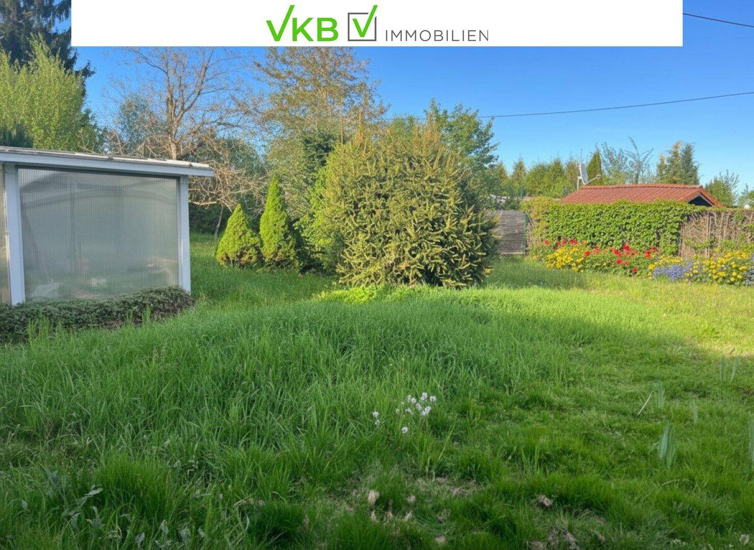 Gepflegter Gartenbereich mit Rasenfläche, Sträuchern und einem kleinen Gewächshaus.