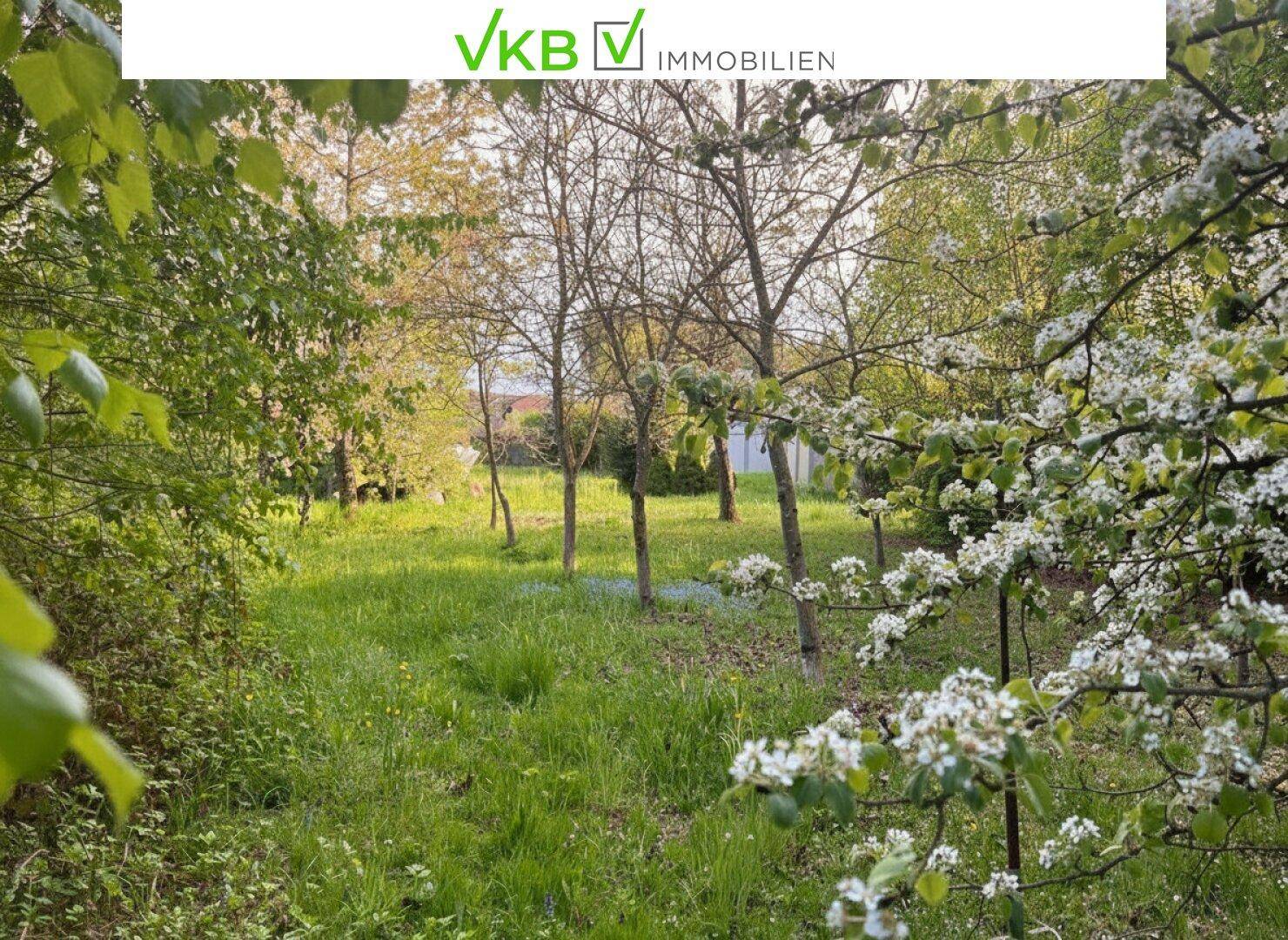 Idyllische Gartenansicht mit blühenden Bäumen und üppigem Grün im Frühling.