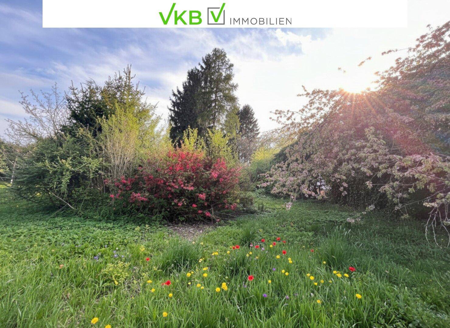 Großzügiges Grundstück guter Lage nähe Gallneukirchen! – Gemeinde Alberndorf in der Riedmark (GST 2438/3) - Ansicht 2