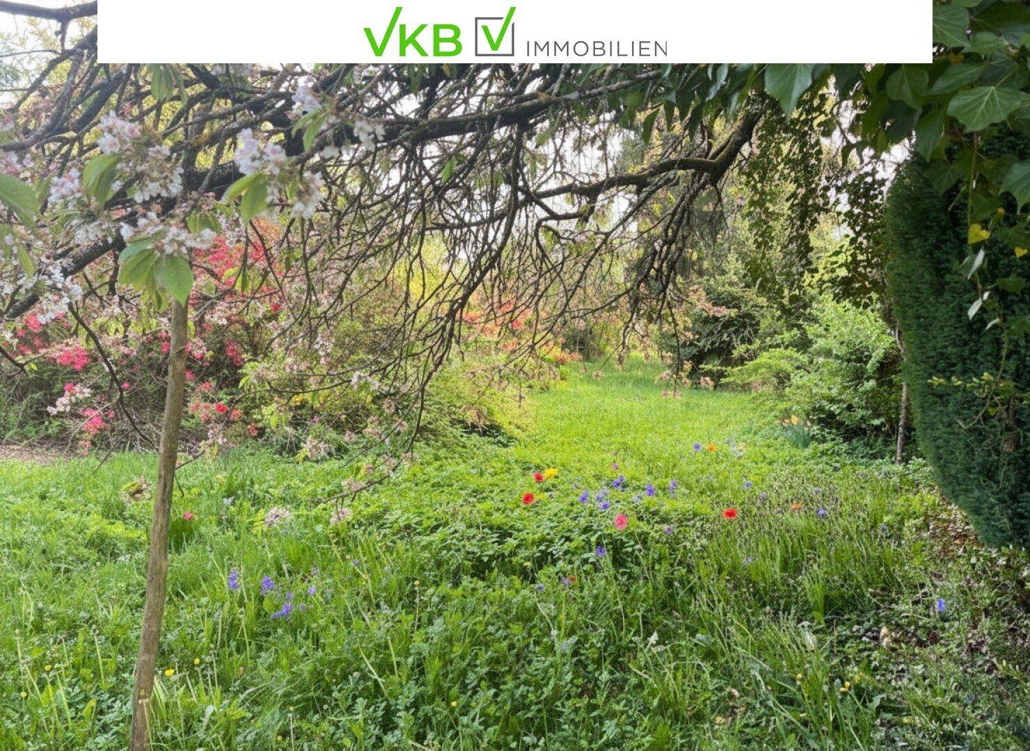 Großzügiges Grundstück guter Lage nähe Gallneukirchen! – Gemeinde Alberndorf in der Riedmark (GST 2438/3) - Ansicht 3