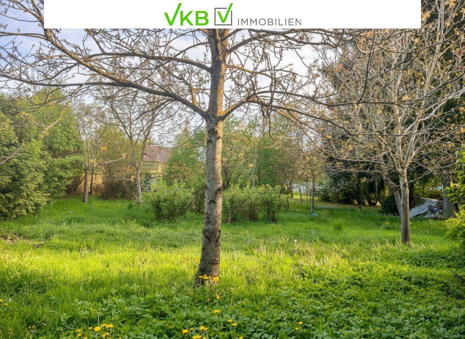 Großzügiges Grundstück guter Lage nähe Gallneukirchen! – Gemeinde Alberndorf in der Riedmark (GST 2438/3) - Ansicht 4