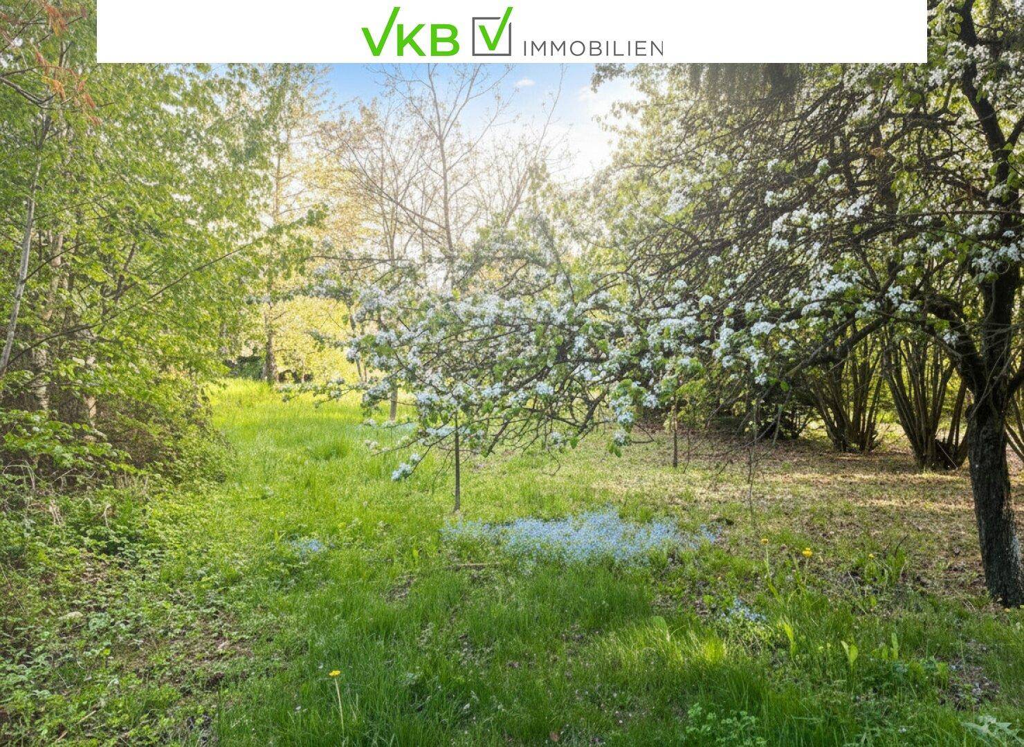 Großzügiges Grundstück guter Lage nähe Gallneukirchen! – Gemeinde Alberndorf in der Riedmark (GST 2438/3) - Ansicht 5