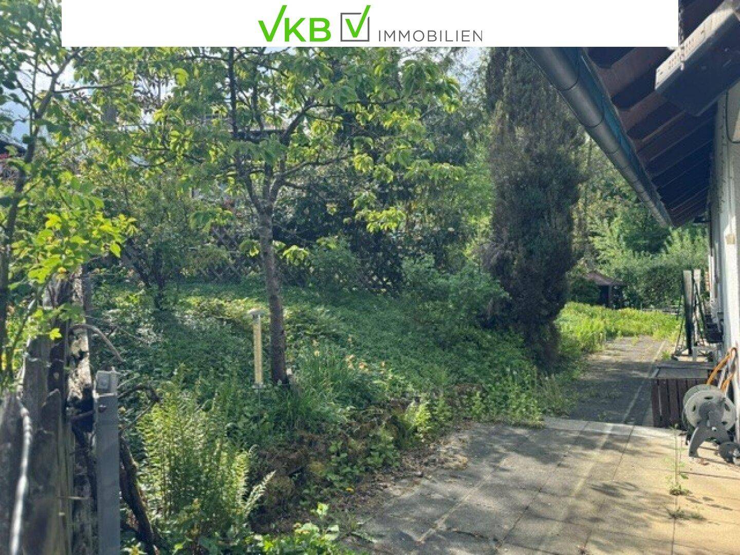 Gartenweg neben dem Haus, umgeben von üppigem Grün und verschiedenen Bäumen.
