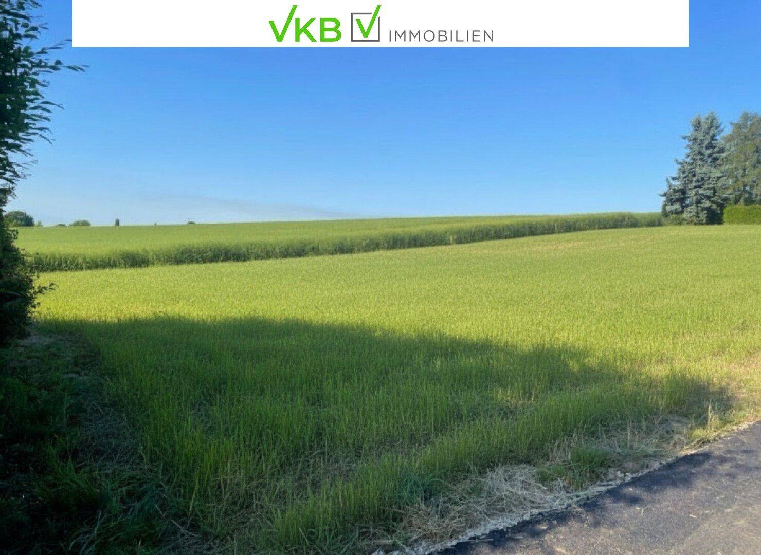 Exklusives Baugrundstück mit traumhafter Aussicht in Leonding/Berg - Ansicht 2