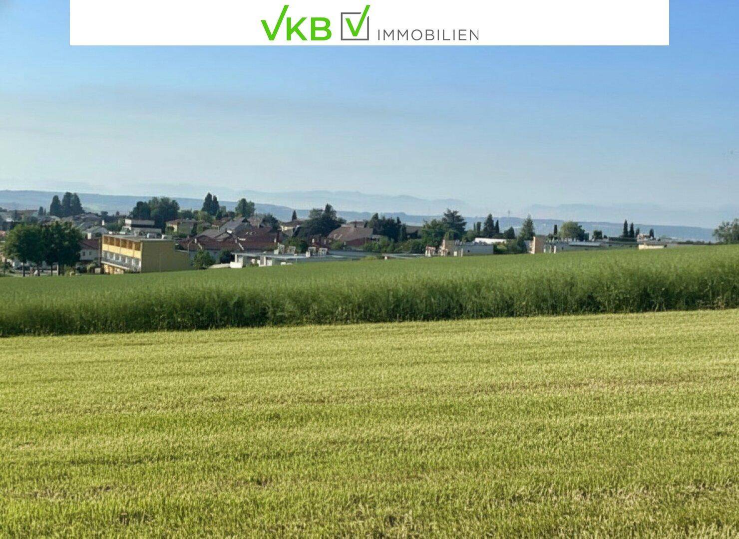 Exklusives Baugrundstück mit traumhafter Aussicht in Leonding/Berg - Ansicht 5