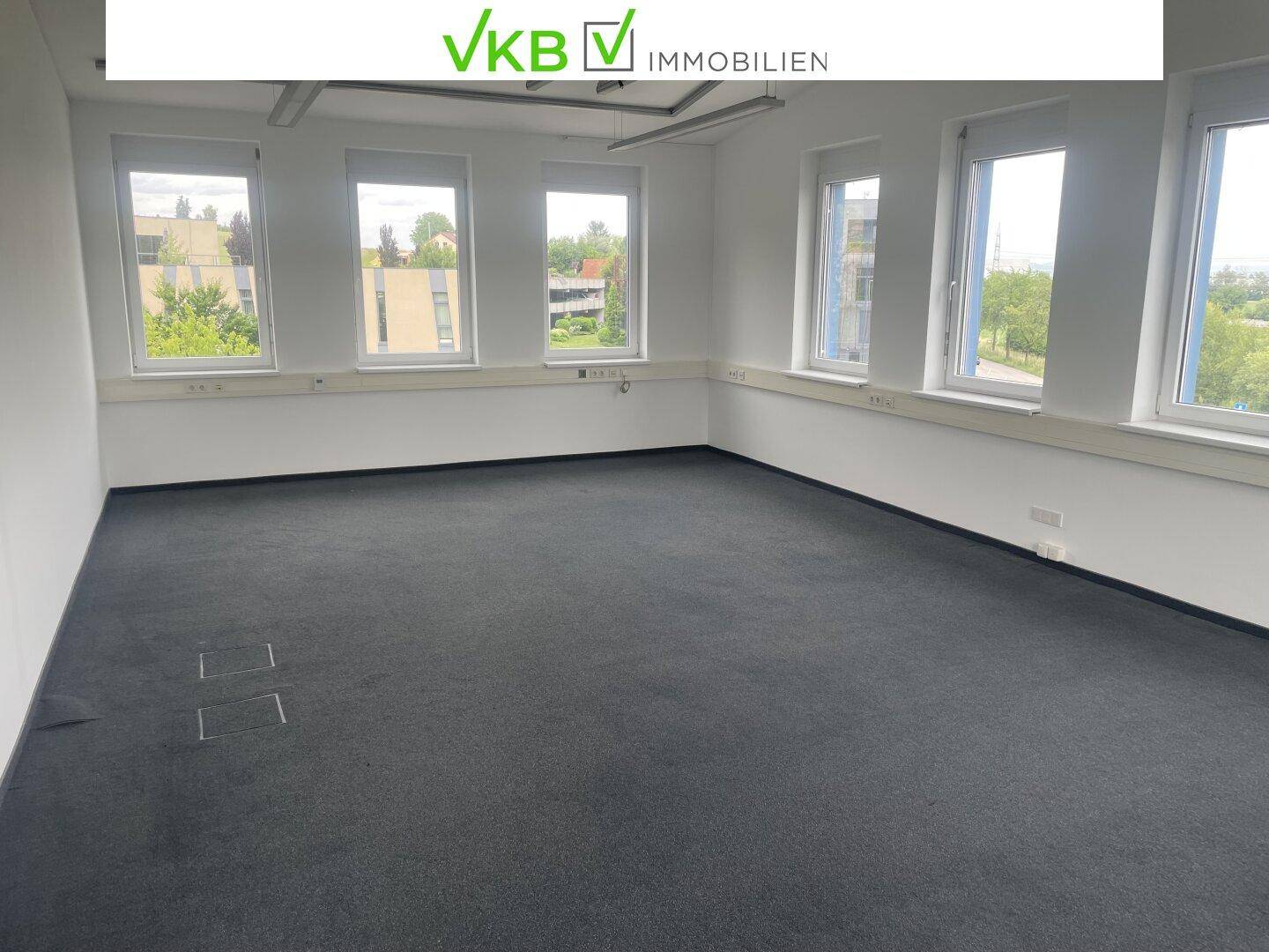 Großes, leeres Büro mit dunklem Teppichboden und mehreren Fenstern, die viel Tageslicht hereinlassen.