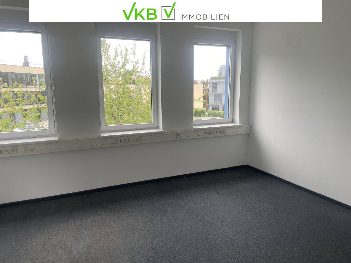 Leeres Büro mit dunklem Teppichboden und drei Fenstern, die einen Blick nach draußen ermöglichen.