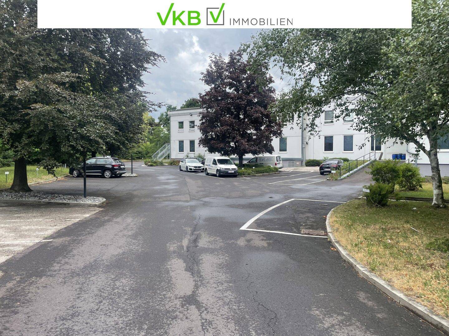 Großer Parkplatzbereich mit Bäumen und Grünflächen vor dem Geschäftsgebäude.