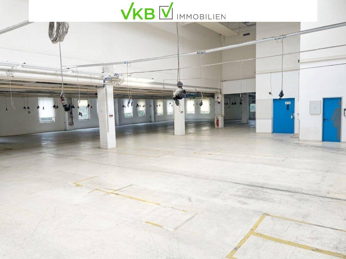 Weitläufige Lagerhalle mit hohen Decken, vielen Fenstern und industrieller Beleuchtung.