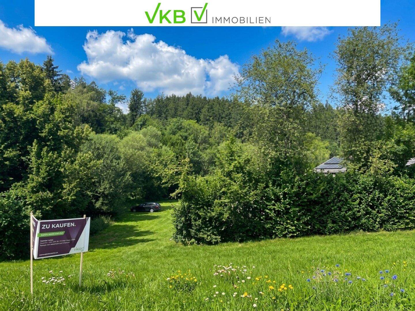 Offenes grünes Grundstück mit dichter Vegetation und einem Verkaufsschild am Rand.