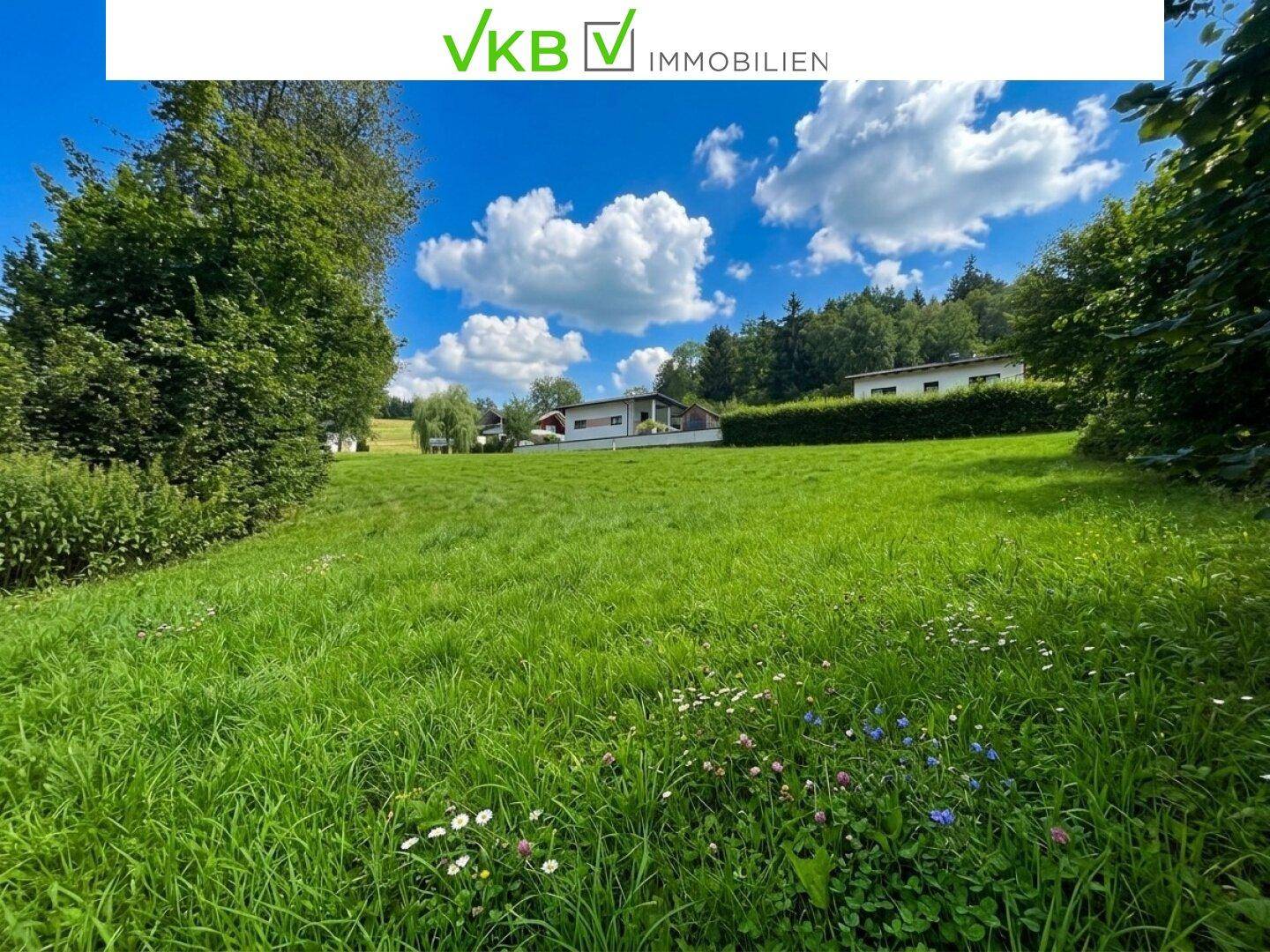 Großes grünes Grundstück mit Blick auf benachbarte Häuser und üppige Bäume.