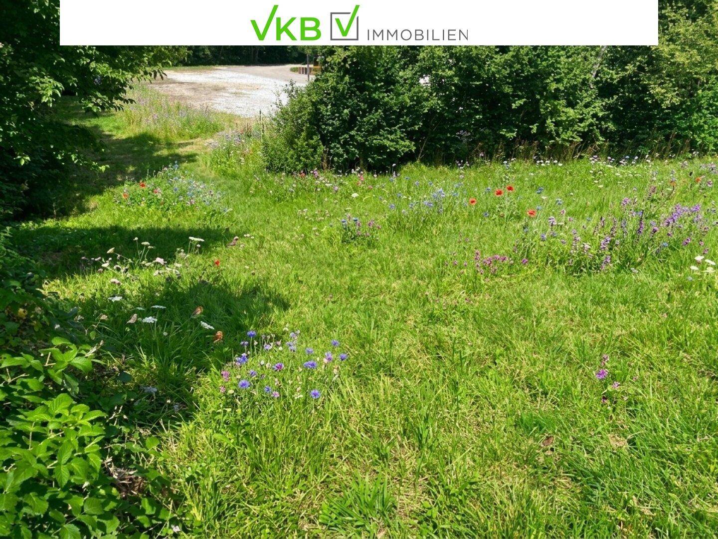 Detailaufnahme einer grünen Wiese mit verschiedenen bunten Wildblumen unter Sonnenlicht.