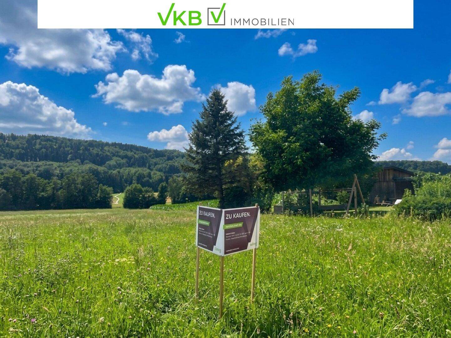 Großes grünes Feld mit zwei 'Zu Kaufen'-Schildern, umgeben von Bäumen und sanften Hügeln.