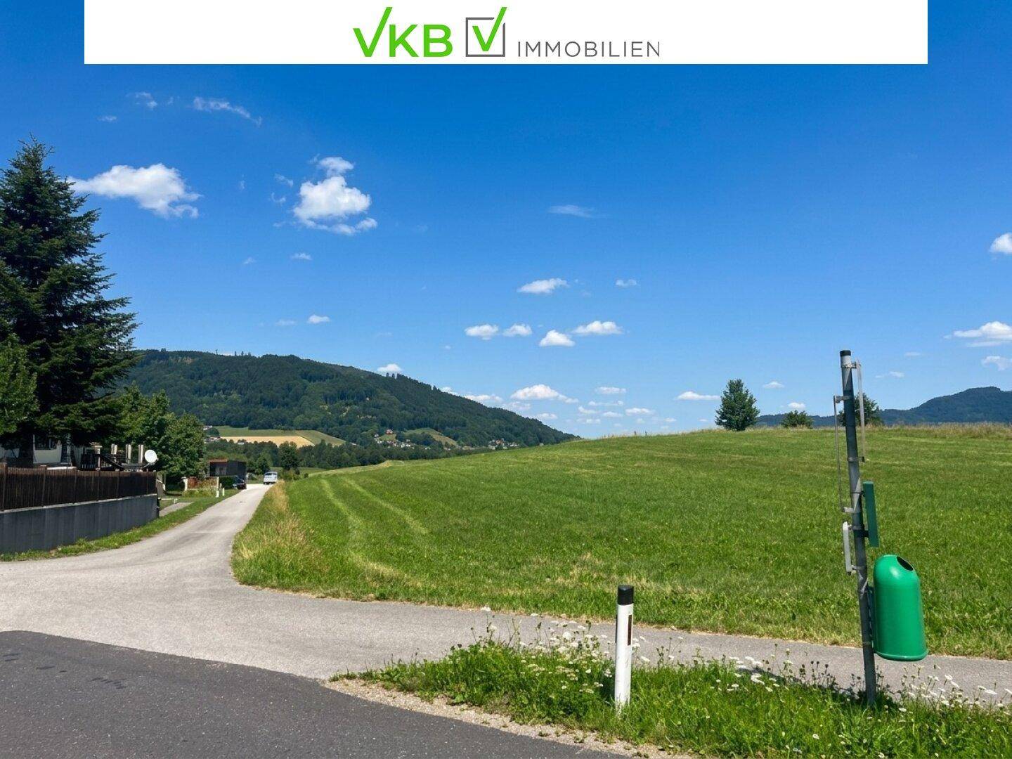 Landstraße schlängelt sich durch eine grüne Hügellandschaft mit Bergen im Hintergrund unter blauem Himmel.