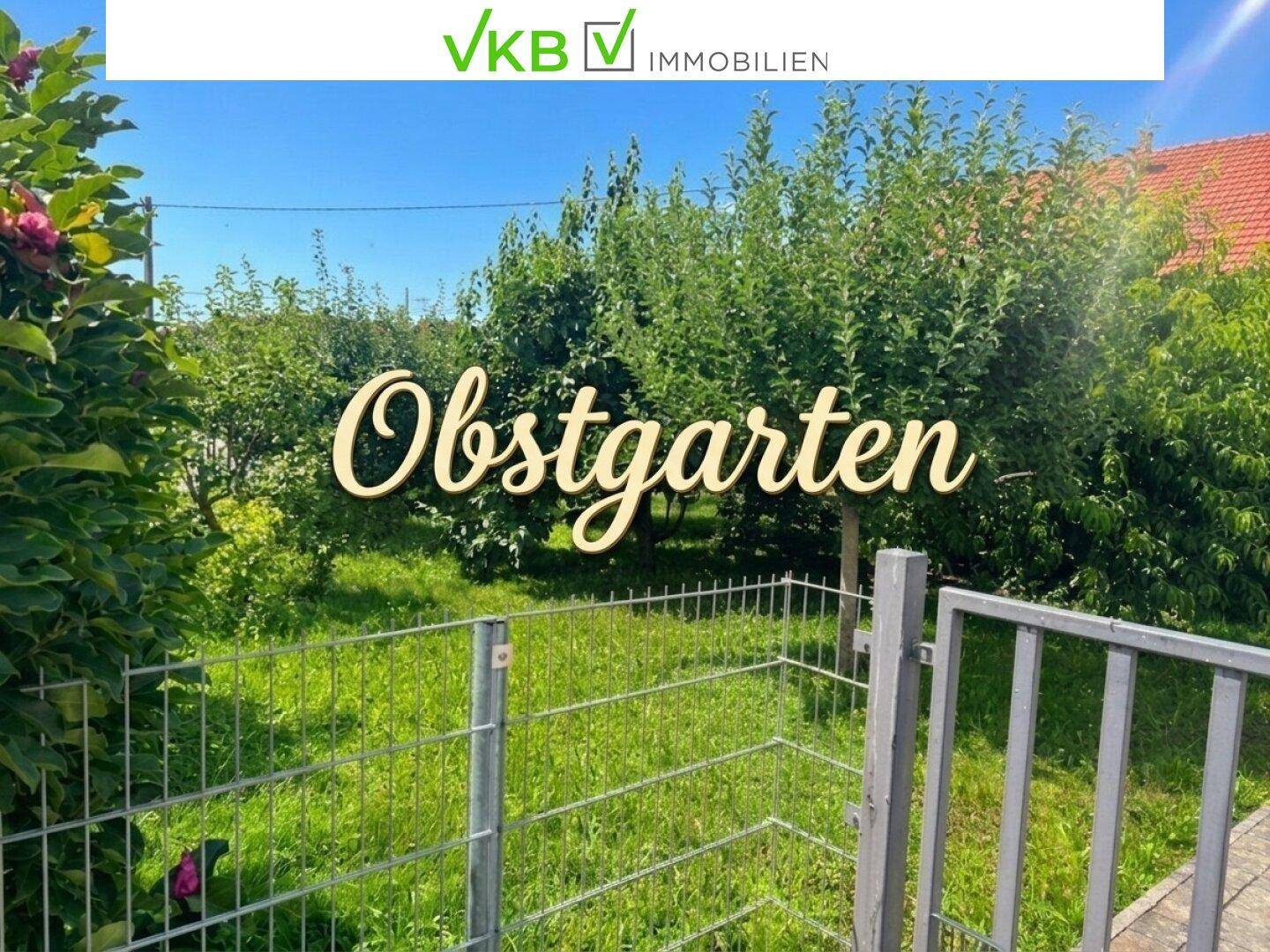 Grüner Obstgarten mit vielen Bäumen und einem Zaun, ideal für den Anbau von Früchten.