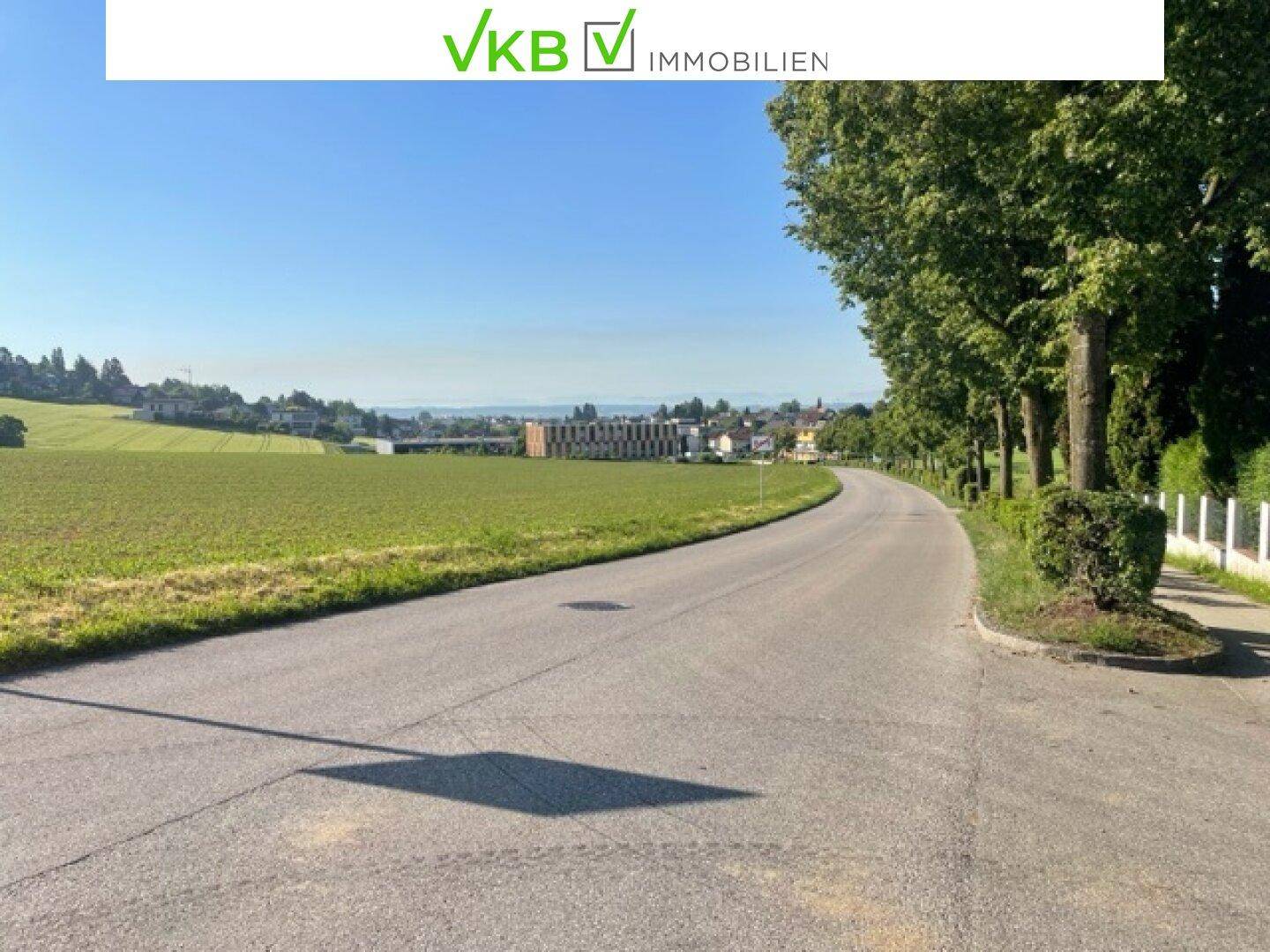 Idyllische Landstraße, gesäumt von Bäumen und weiten Feldern, mit Blick auf eine Siedlung in der Ferne.
