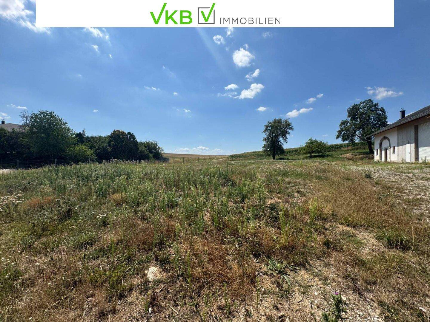 Großes, verwildertes Grundstück mit weitem Blick auf die ländliche Umgebung und die Scheune.