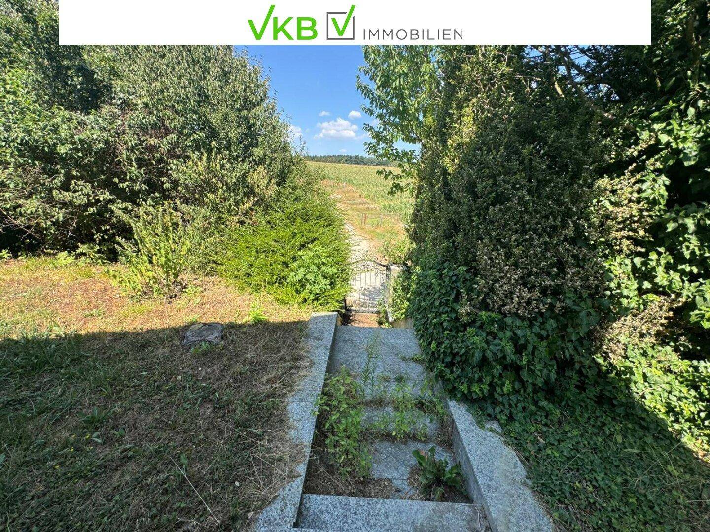 Steinerner Weg mit Stufen führt durch dichte Vegetation zu einem Metalltor und offenem Feld.