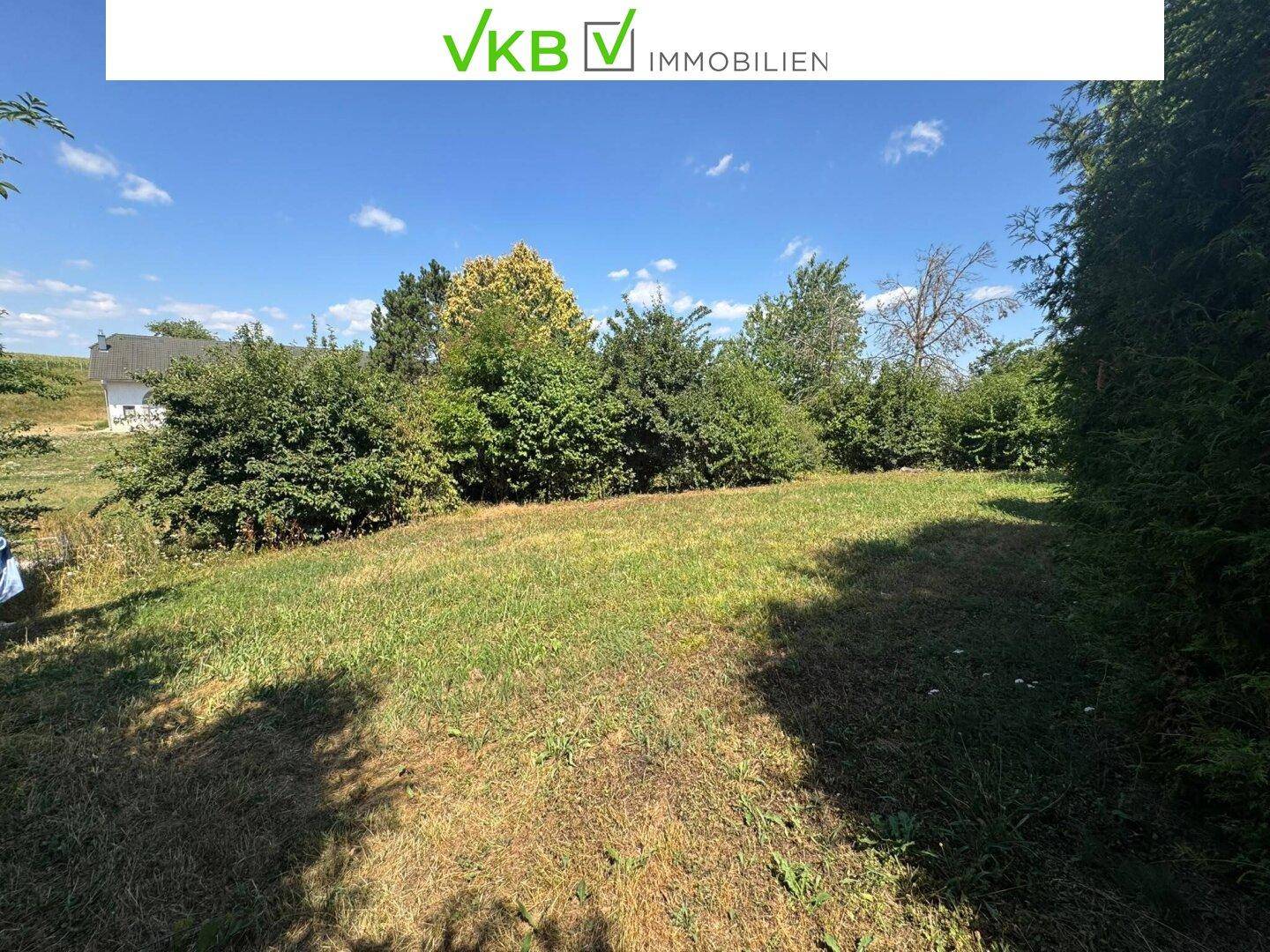 Grüne Außenfläche mit Hecken und Bäumen im Hintergrund, ideal als Garten oder Rasenfläche.