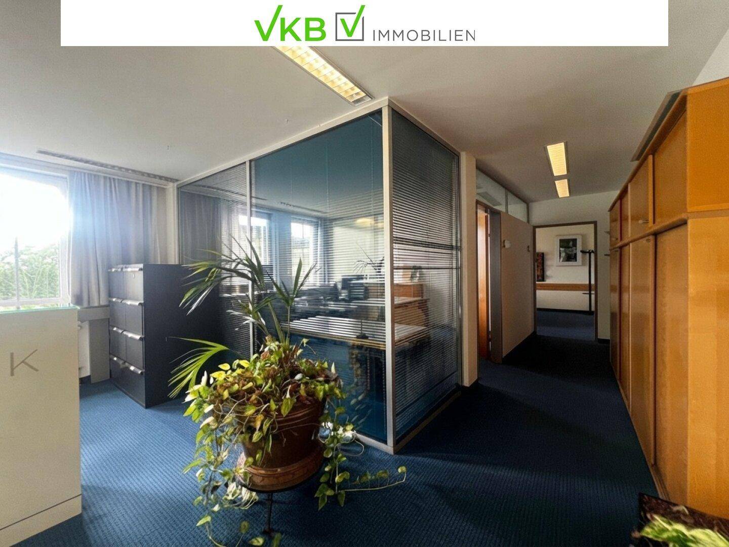 Büro mit Glaswänden, blauem Teppichboden und Holzschränken, beleuchtet durch Fenster.