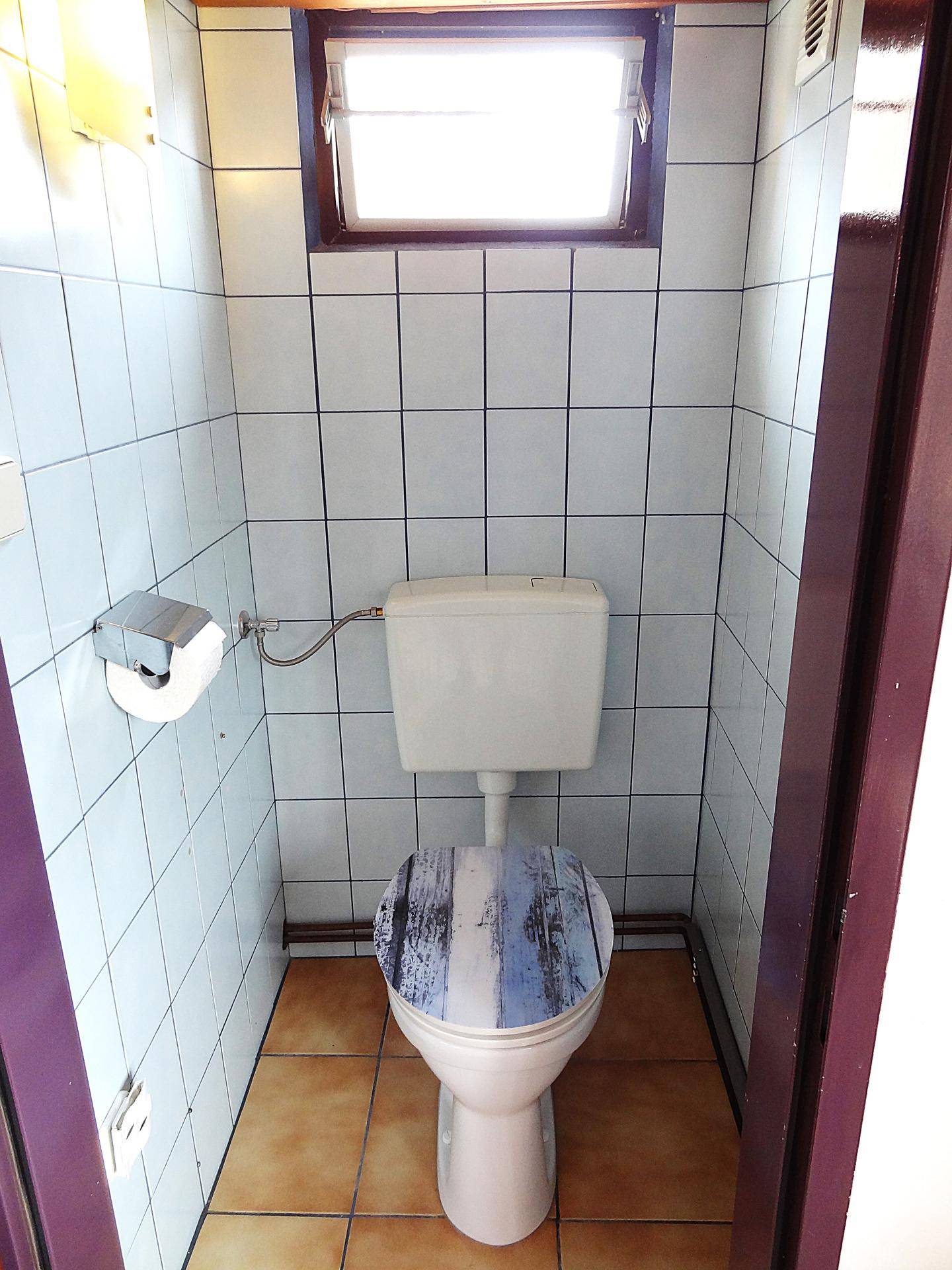 Separate Toilette mit Fenster, gefliesten Wänden und dekorativem Toilettensitz.