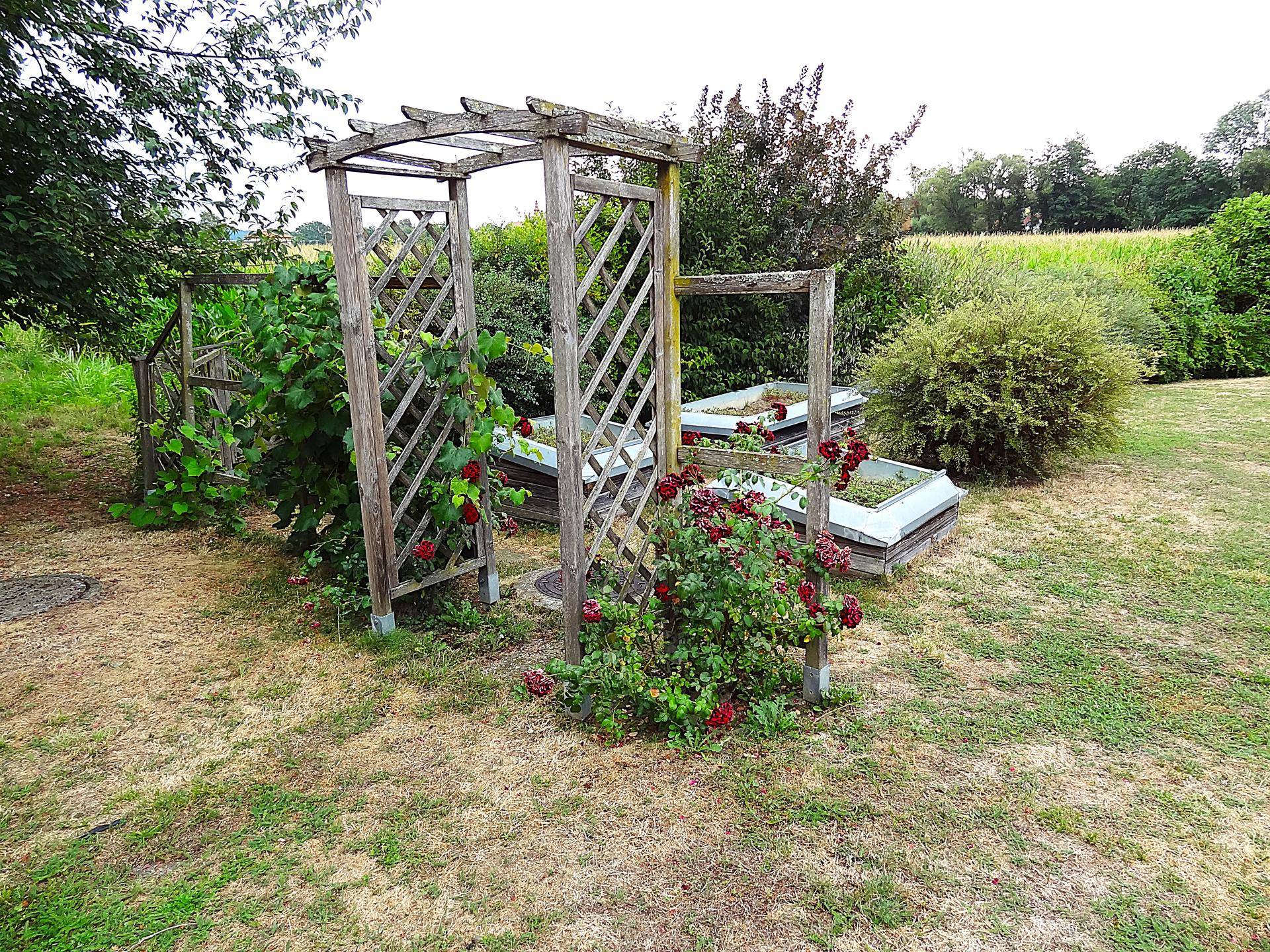 Gartenbereich mit Rosenbogen, Hochbeeten und üppiger Vegetation.