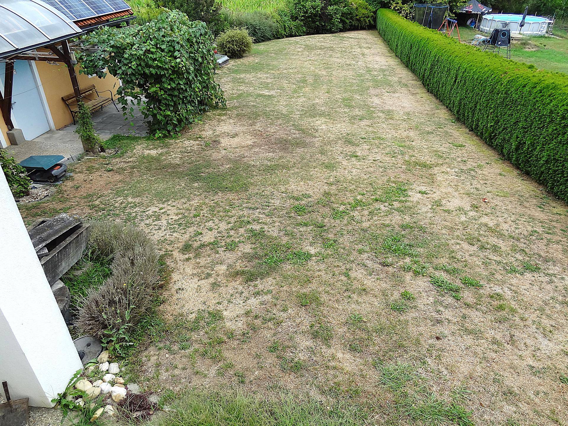 Weitläufiger Garten mit Rasenfläche, hoher Hecke und Blick auf die Umgebung.