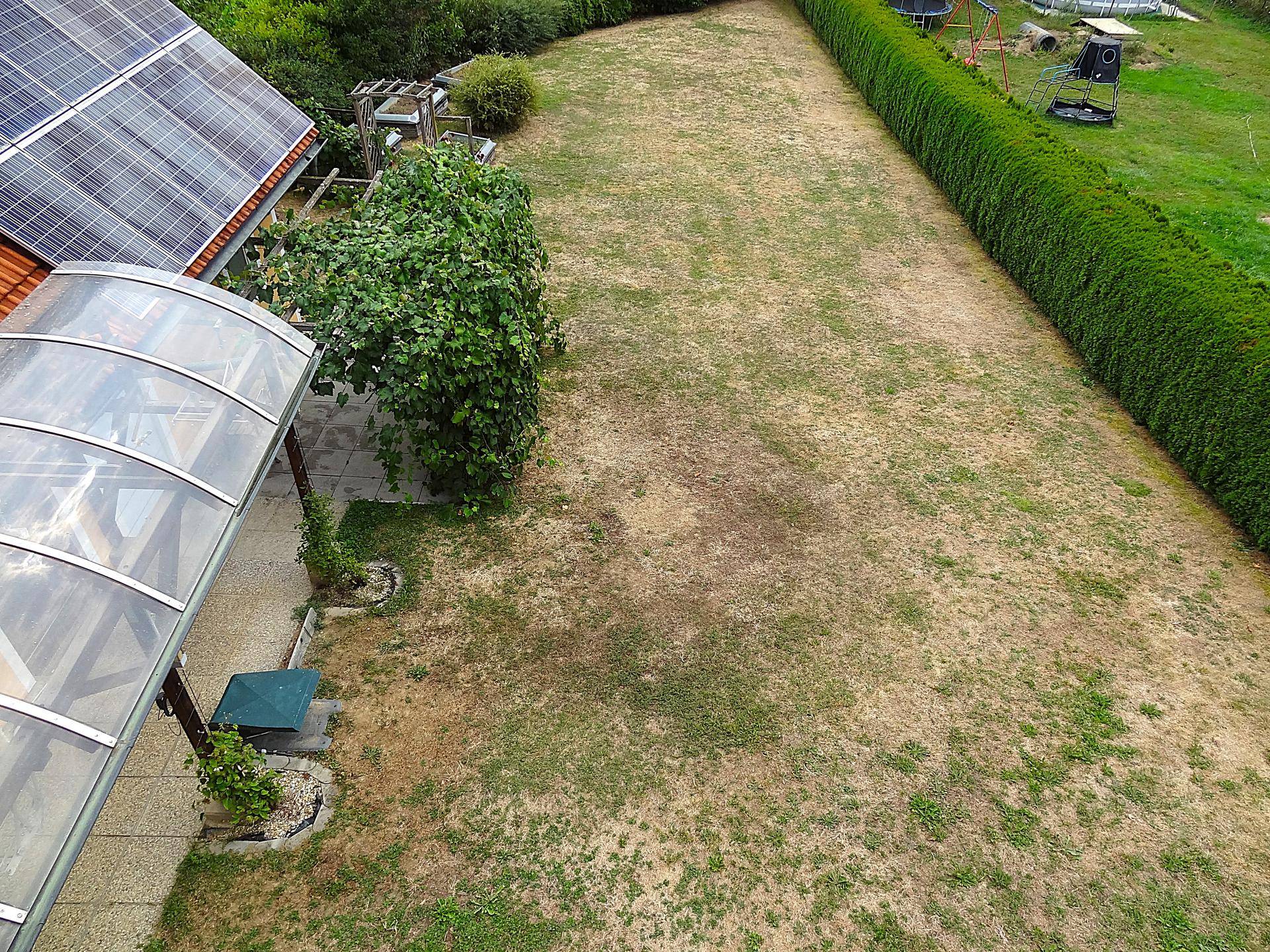 Weitläufiger Garten mit Rasen, Hecke und Solaranlage auf dem Nebengebäude.
