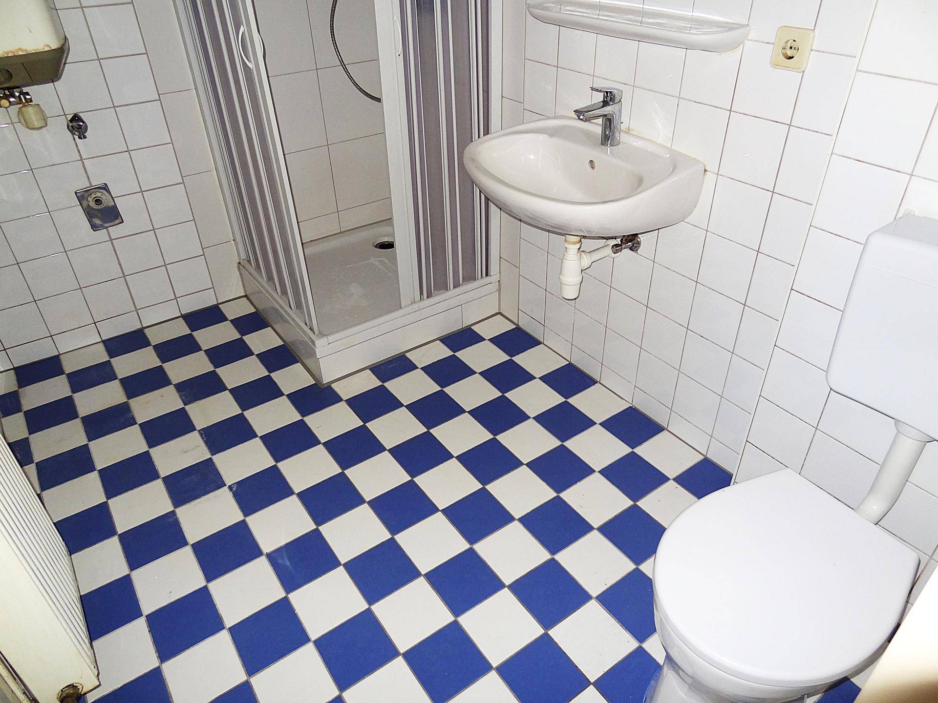 Sauber gehaltenes Badezimmer mit Duschkabine, WC und auffälligem blau-weißem Fliesenboden.