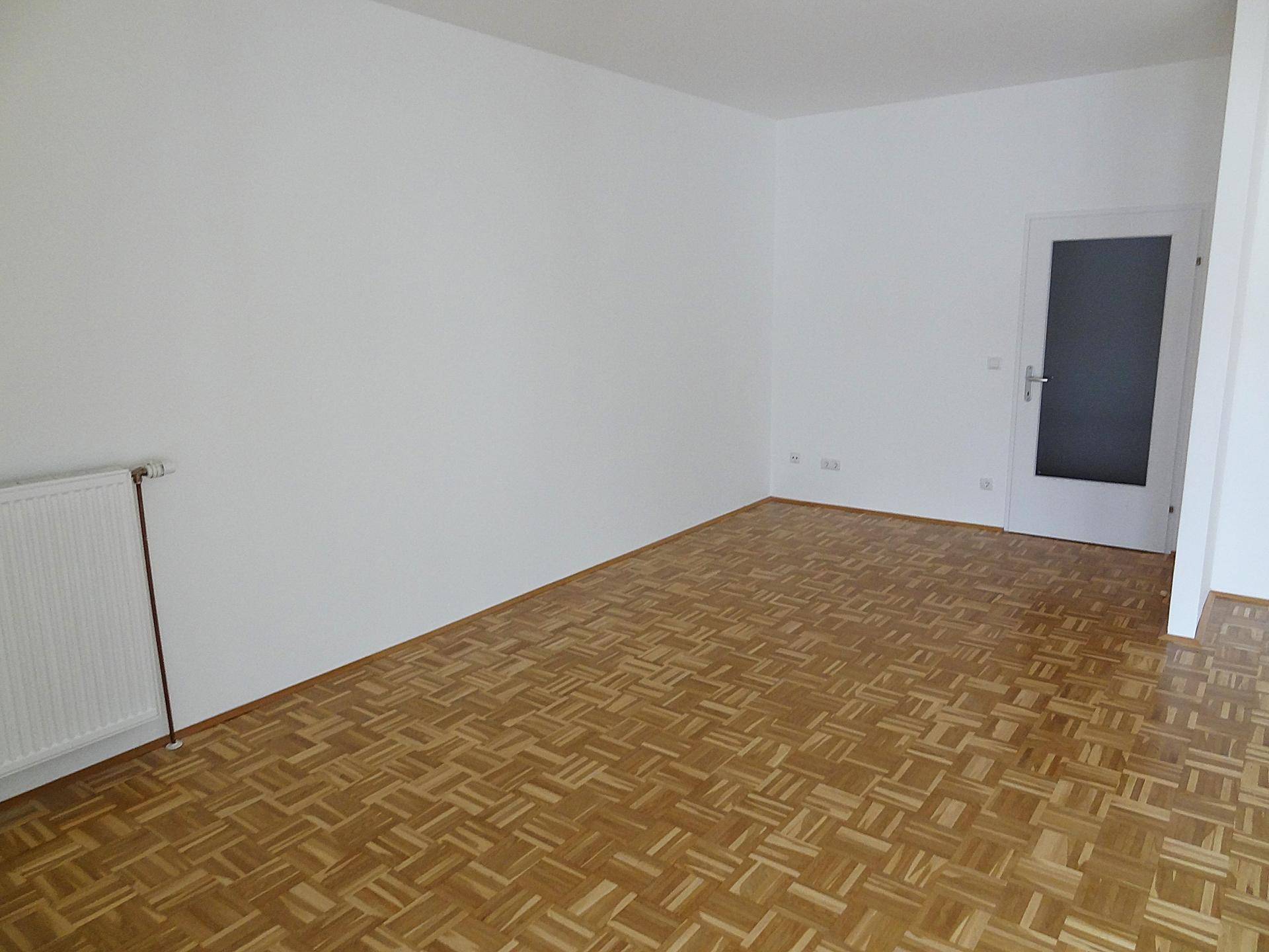 Heller Wohnraum mit Parkettboden und einer modernen Tür mit mattiertem Glaseinsatz.