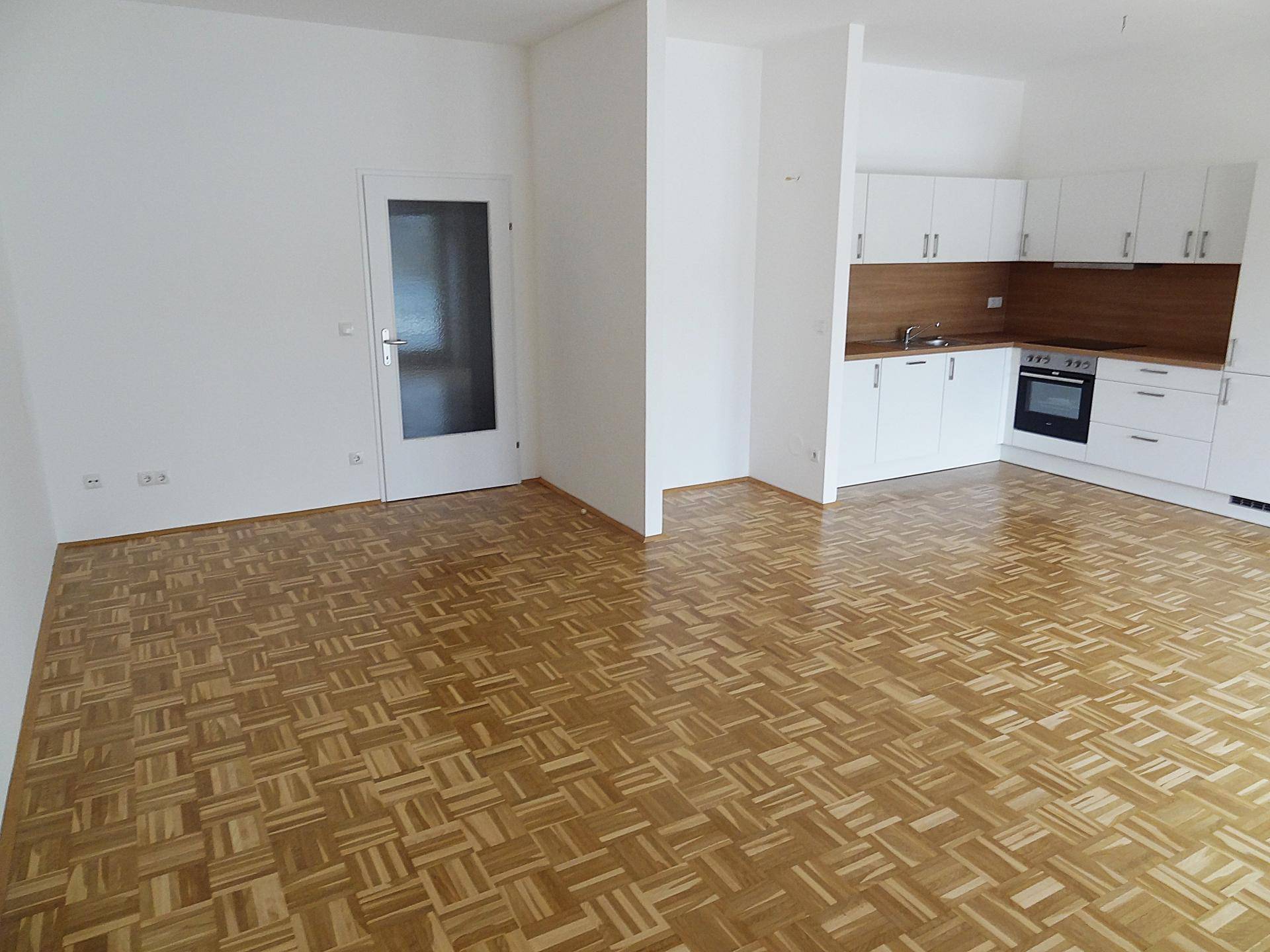 Offener Wohnbereich mit Parkettboden, integrierter Küche und einer Tür mit Glaseinsatz.
