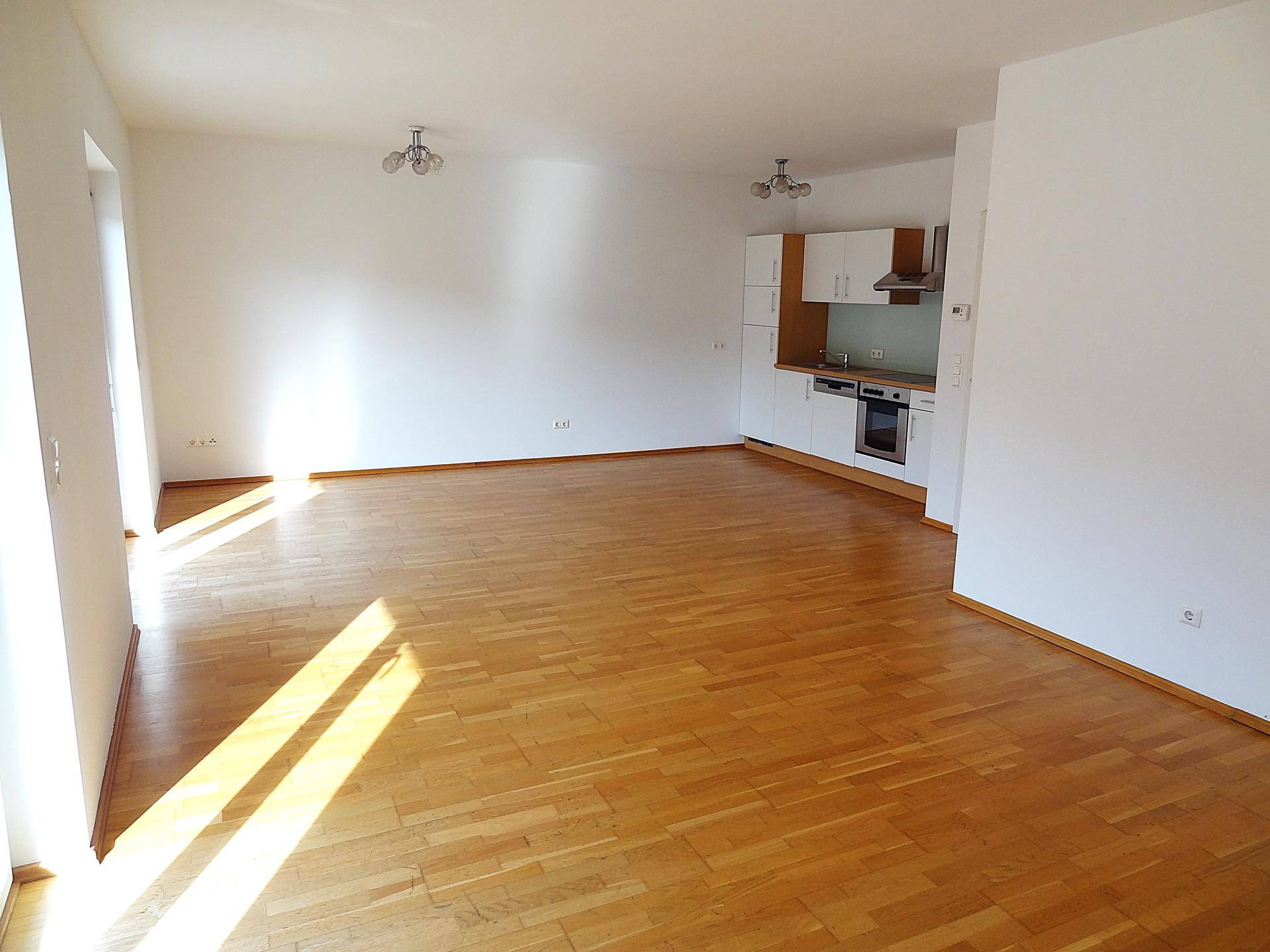 Geräumiger Wohnbereich mit Küchenzeile und sonnigem Parkettboden, ideal für geselliges Beisammensein und Entspannung.