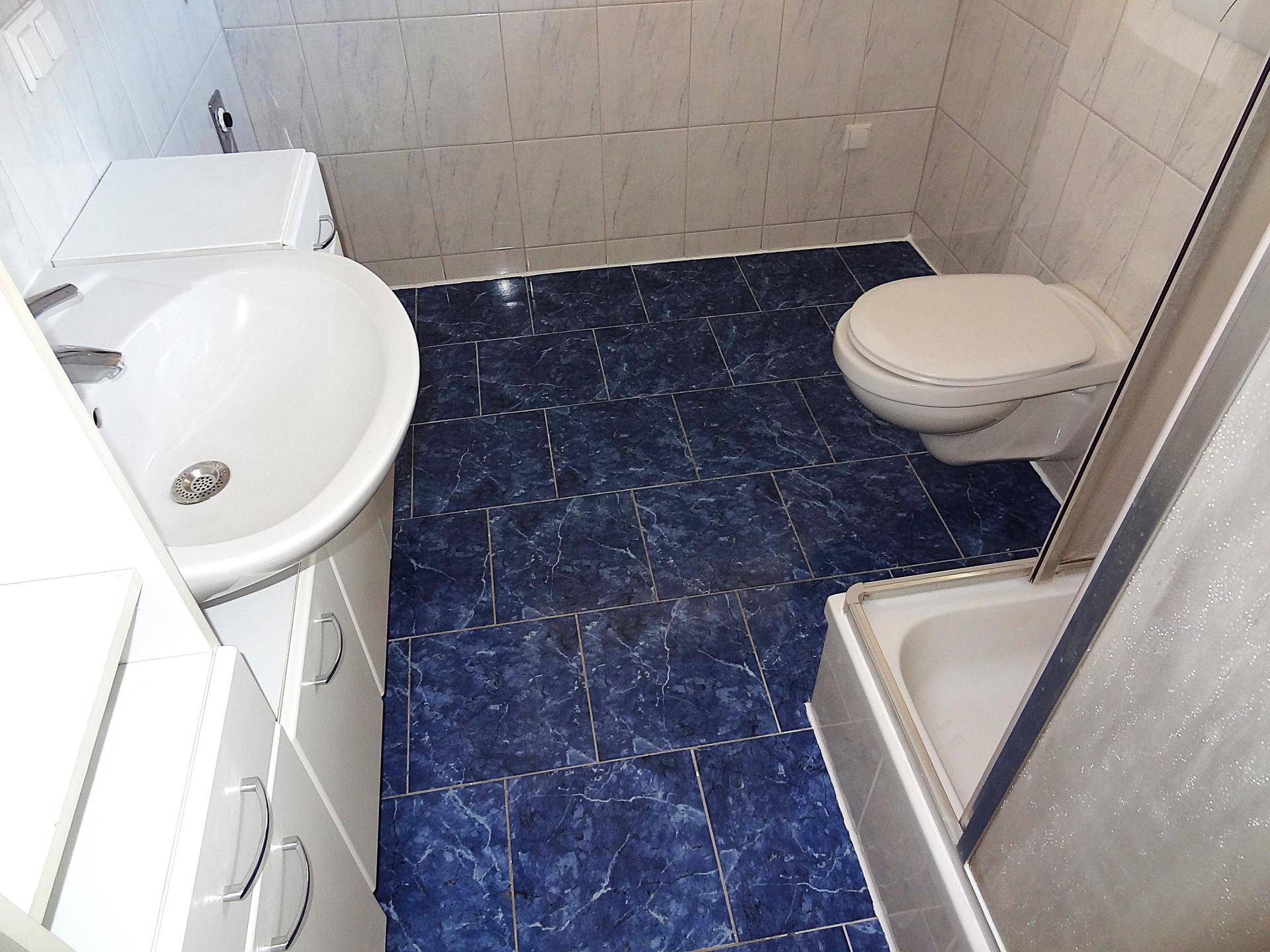 Badezimmer mit blauen Bodenfliesen, WC, Waschtisch und Duschkabine, funktional eingerichtet.