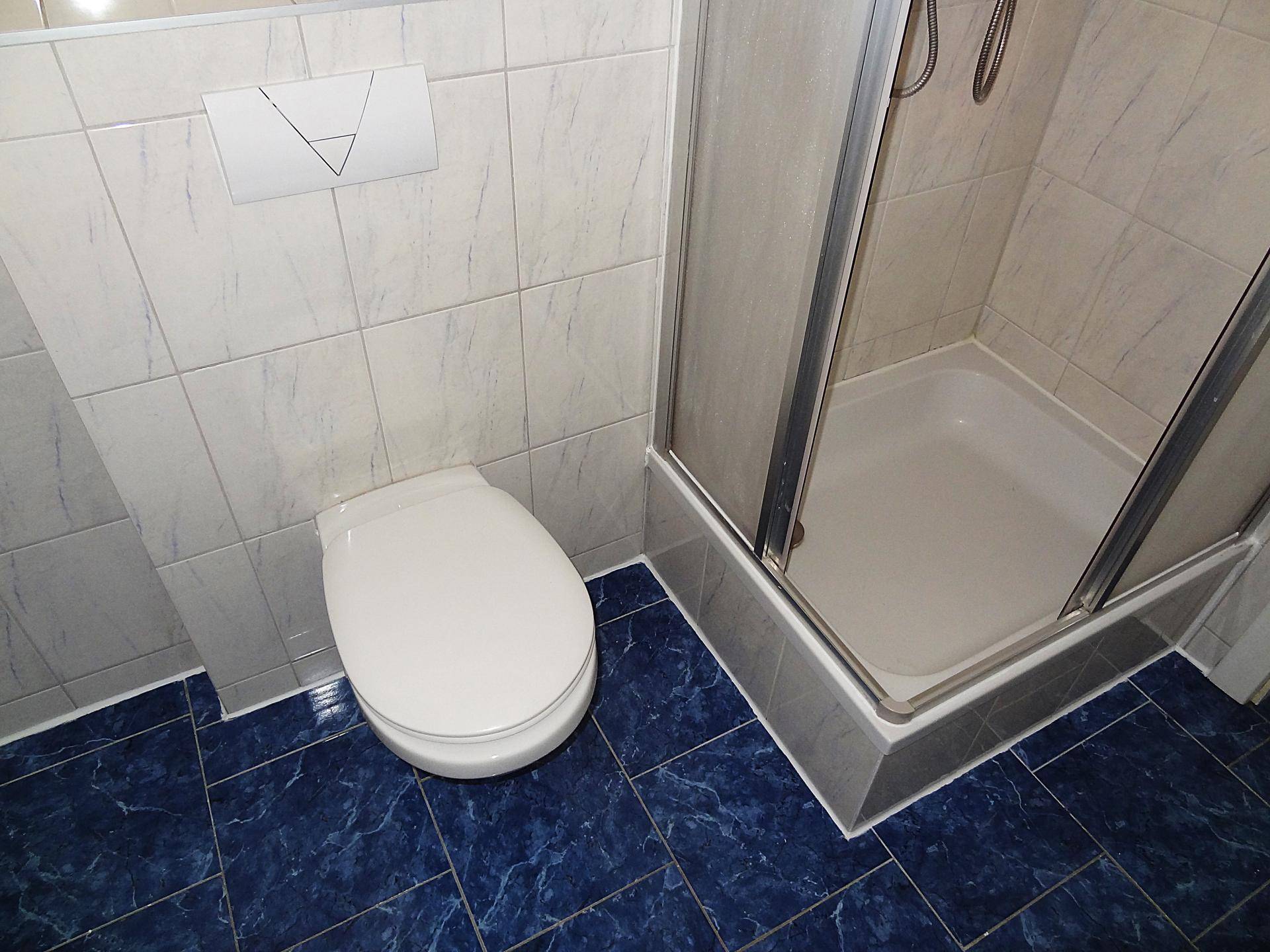 Badezimmer mit WC, Duschkabine und blauen Bodenfliesen, in einem funktionalen Design.