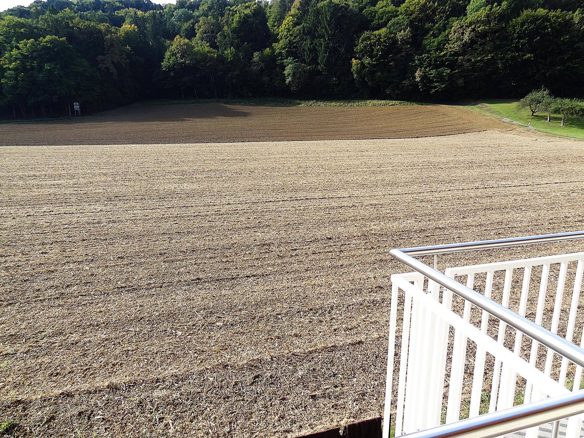 Malerischer Ausblick vom Balkon auf weite Felder und einen angrenzenden Wald.