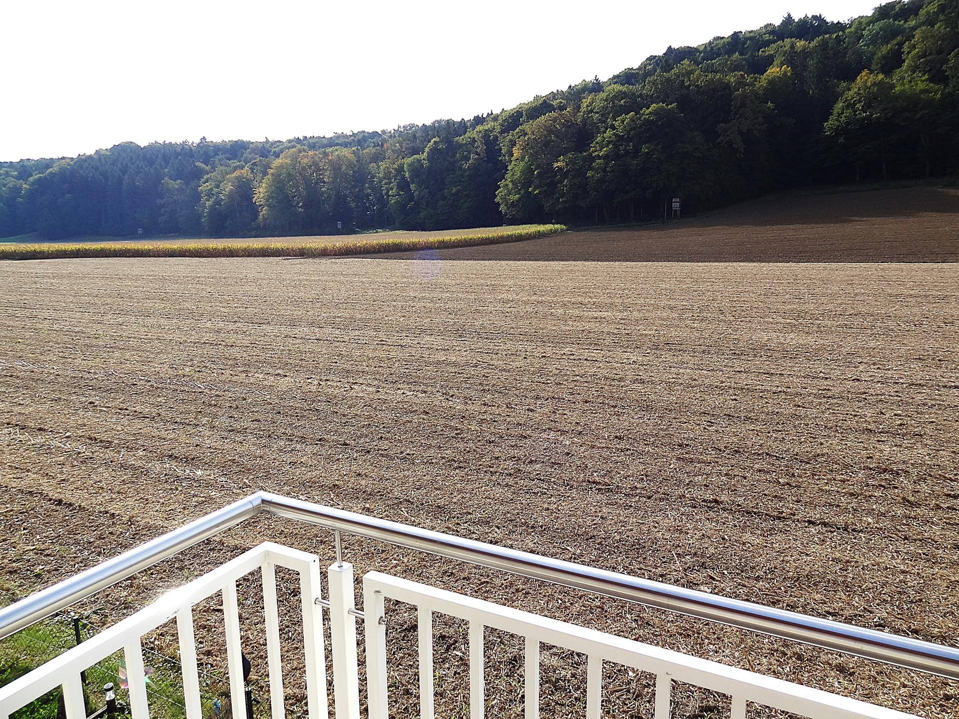 Weitläufiger Blick vom Balkon über ein Feld und einen Wald, der Ruhe und Natur bietet.