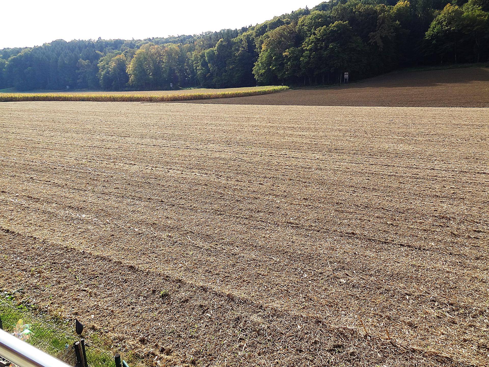 Ruhiger Blick über ein weites Feld und einen bewaldeten Hügel, der Natur pur vermittelt.