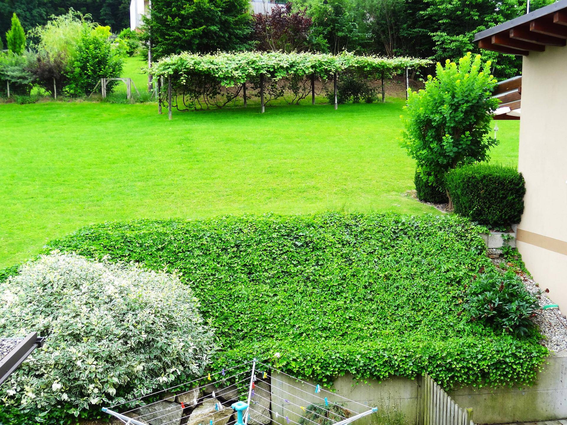 Weitläufiger grüner Garten mit gepflegtem Rasen und üppiger Bepflanzung im Hintergrund.